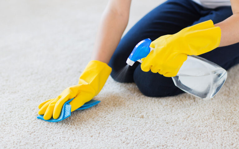Innovative Steam Cleaning Techniques by Carpet Cleaning Fredericksburg VA